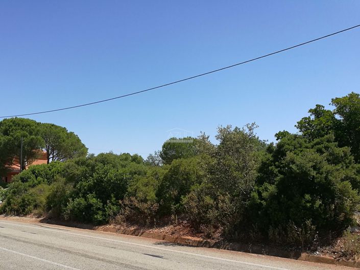 Image No.1-Land for sale