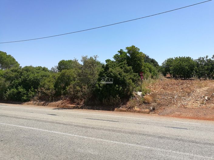 Image No.2-Land for sale