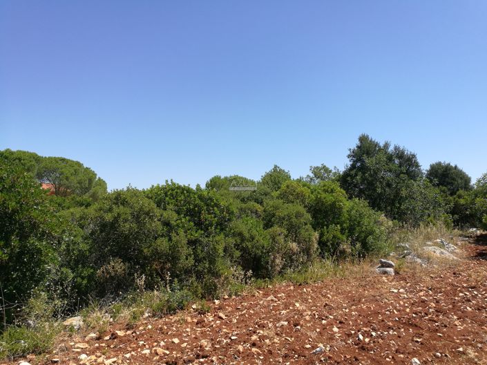 Image No.4-Land for sale