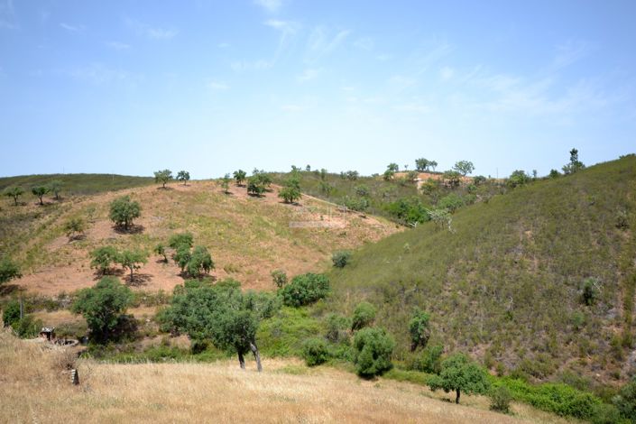 Image No.19-Plot for sale