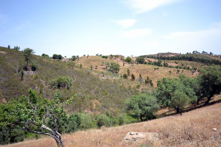 Image No.5-Plot for sale