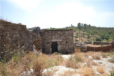 2425-140795-1254606e3c95c5e5ce938638595c7f664