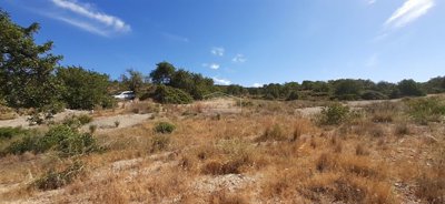 2425-222936-1254606e3c95c5e5ce938638595c7f664