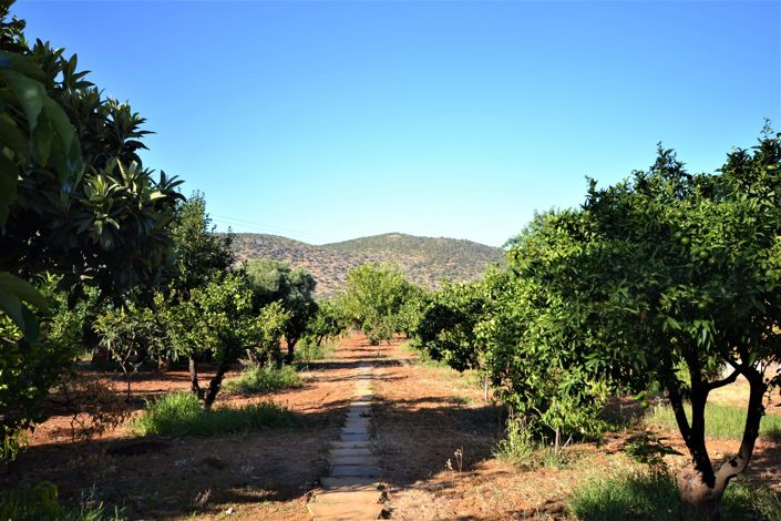 Image No.23-Propriété de 3 chambres à vendre à Loule
