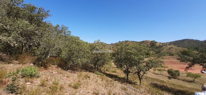 Image No.11-Land for sale