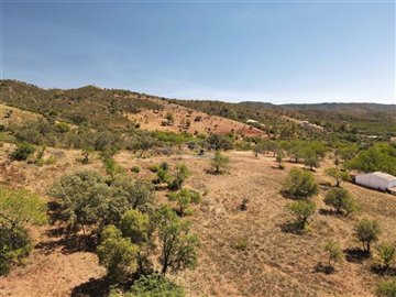 2425-231039-1254606e3c95c5e5ce938638595c7f664