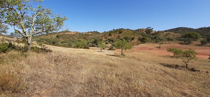 Image No.1-Land for sale