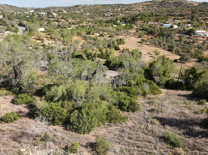 Image No.10-Land for sale