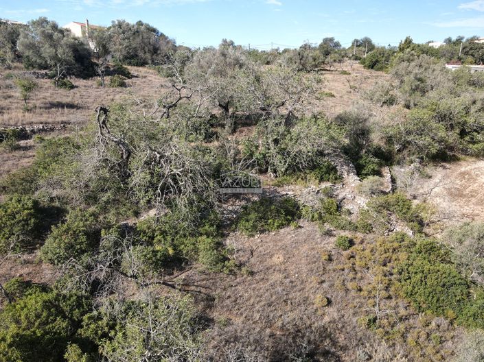 Image No.11-Land for sale