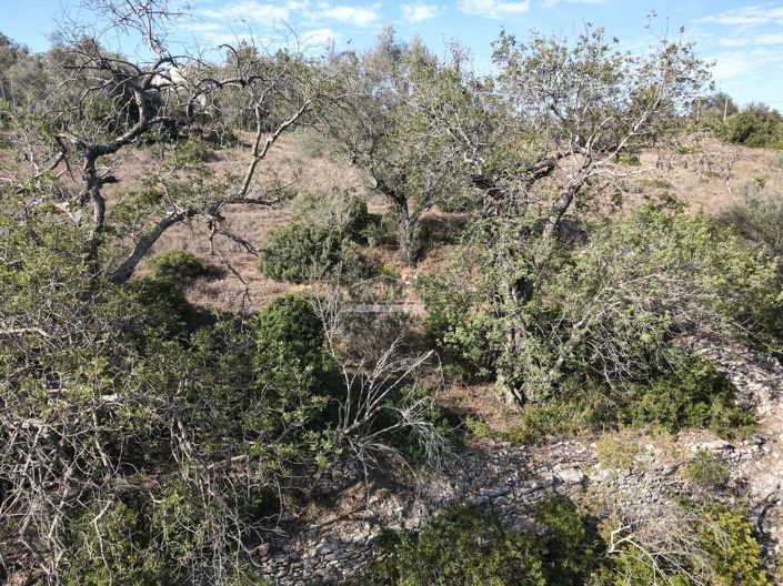 Image No.6-Land for sale