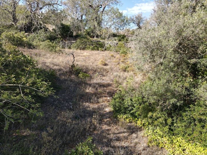 Image No.8-Land for sale