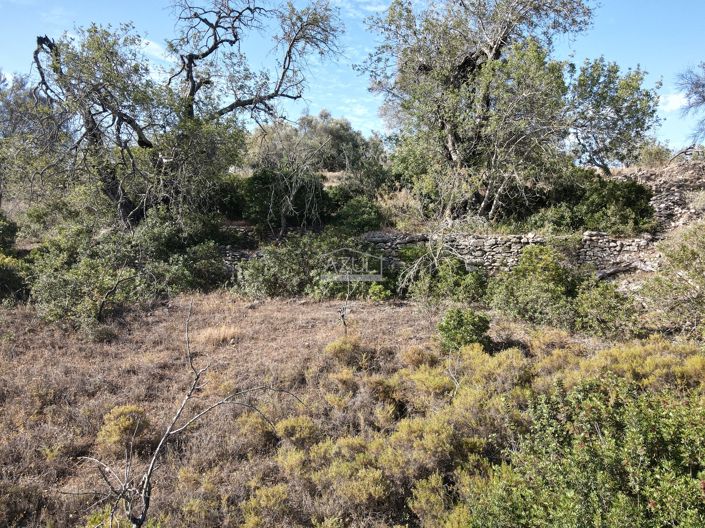 Image No.9-Land for sale