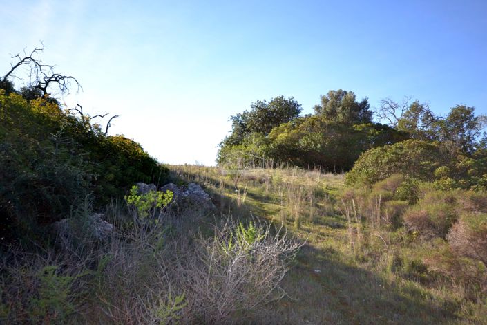 Image No.10-Land for sale