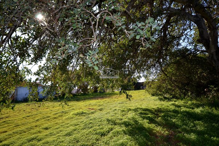 Image No.11-Land for sale