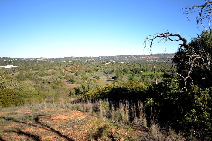 Image No.7-Land for sale