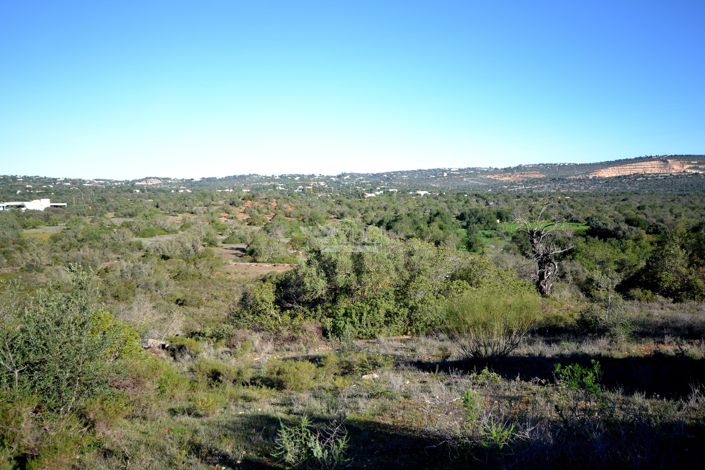 Image No.9-Land for sale