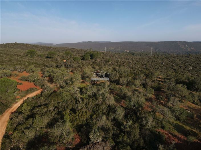 Image No.10-Plot for sale