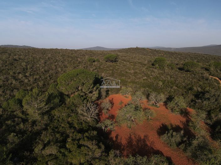 Image No.12-Plot for sale