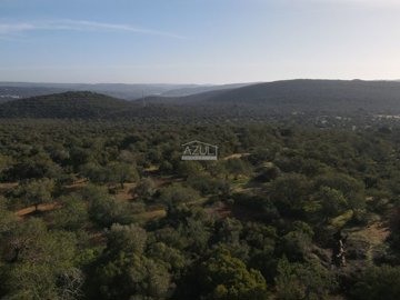 2425-255463-1254606e3c95c5e5ce938638595c7f664