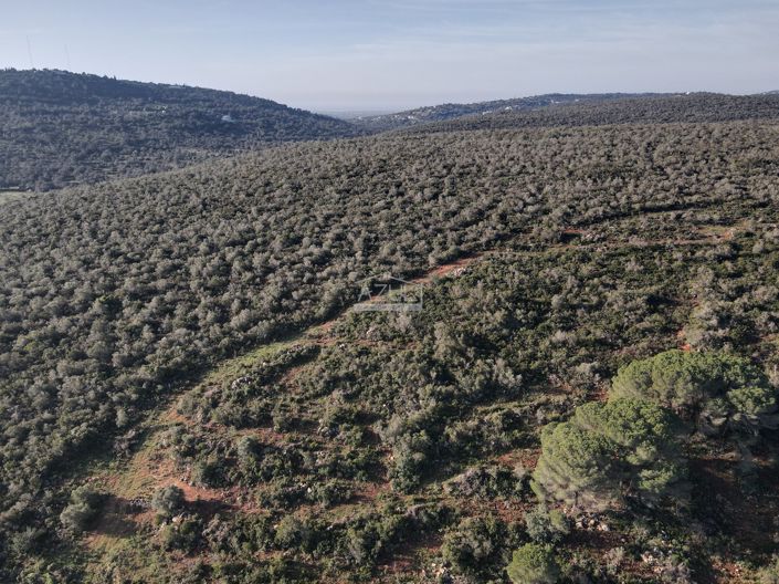 Image No.18-Plot for sale