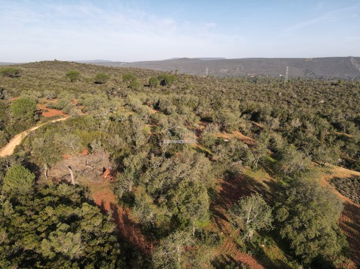 Image No.21-Plot for sale