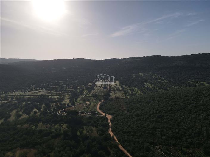 Image No.25-Plot for sale