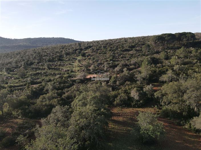 Image No.3-Plot for sale