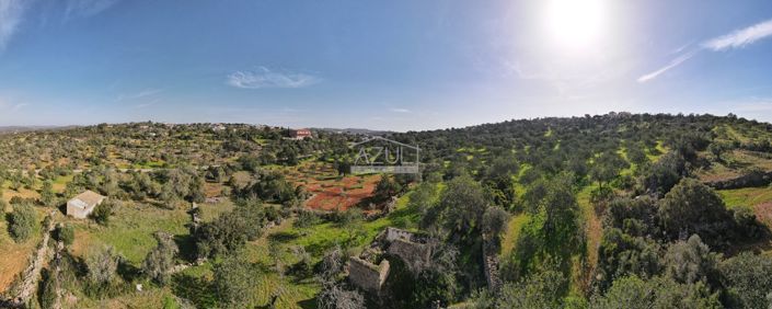 Image No.12-Plot for sale