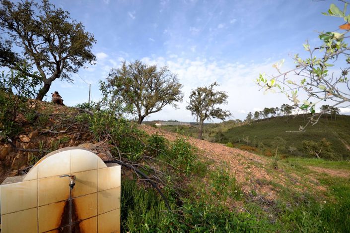 Image No.12-3 Bed Plot for sale