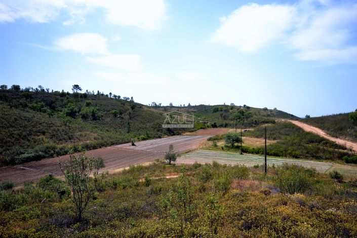 Image No.23-3 Bed Plot for sale