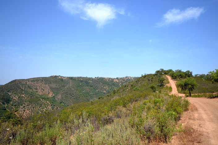 Image No.26-3 Bed Plot for sale