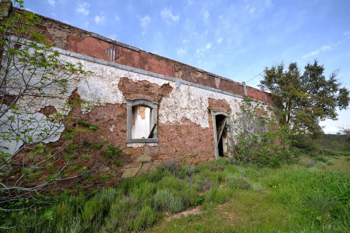 Image No.3-3 Bed Plot for sale