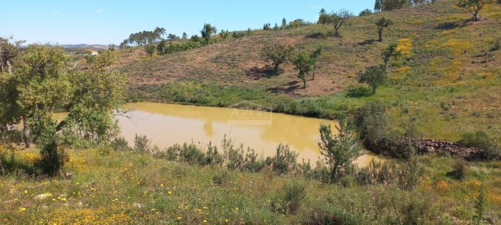 Image No.30-3 Bed Plot for sale