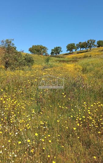 Image No.4-3 Bed Plot for sale