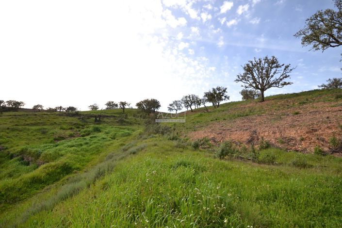 Image No.9-3 Bed Plot for sale