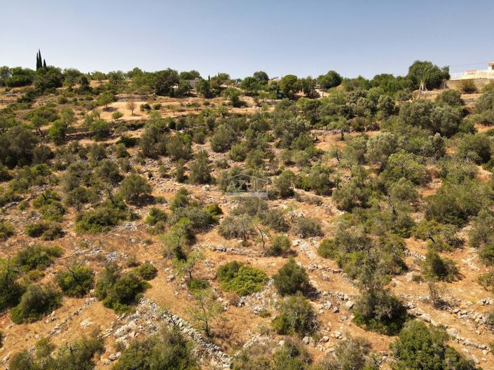 Image No.26-3 Bed Villa for sale