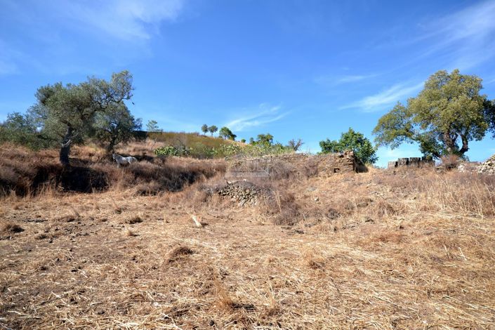 Image No.12-4 Bed Plot for sale