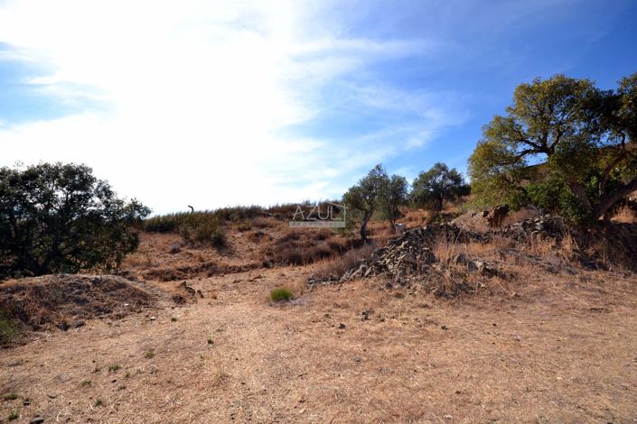 Image No.14-4 Bed Plot for sale