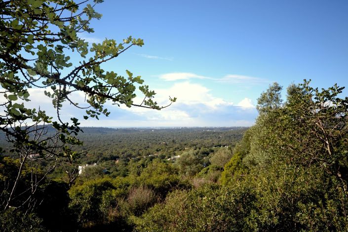 Image No.11-Plot for sale