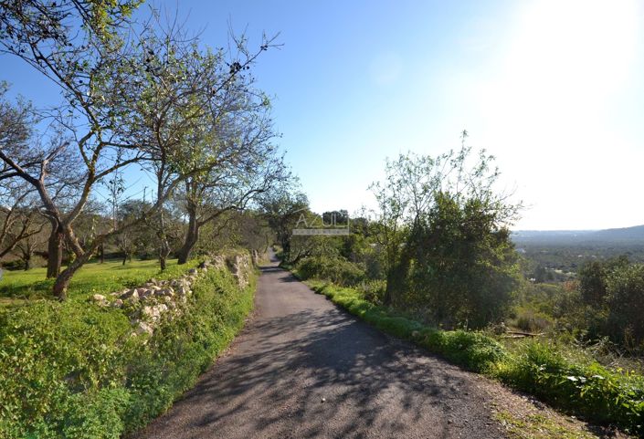 Image No.20-Plot for sale