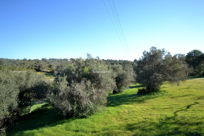 Image No.21-Plot for sale