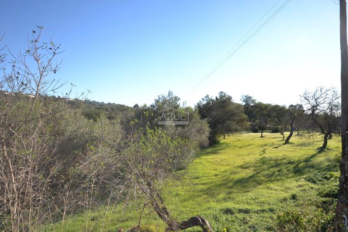 Image No.22-Plot for sale