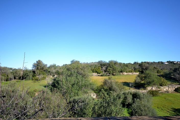 Image No.23-Plot for sale