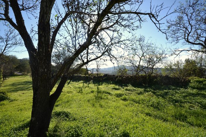 Image No.24-Plot for sale