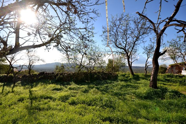 Image No.25-Plot for sale