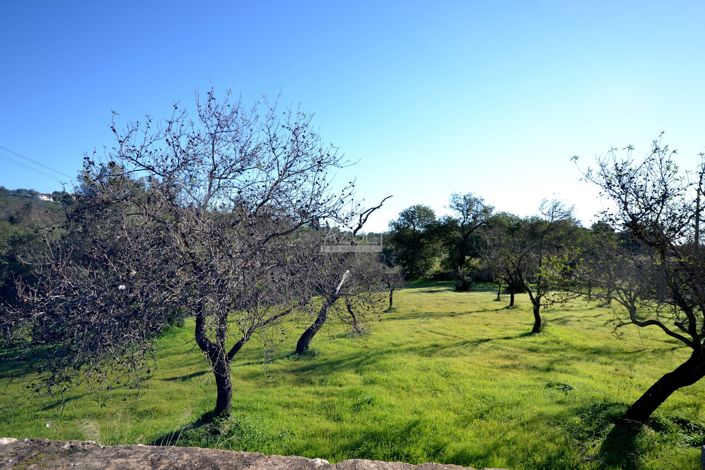 Image No.26-Plot for sale