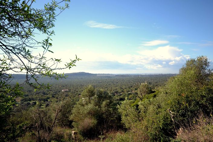 Image No.4-Plot for sale