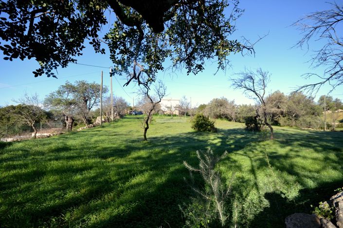 Image No.8-Plot for sale