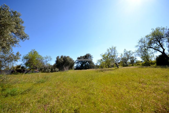 Image No.4-Plot for sale