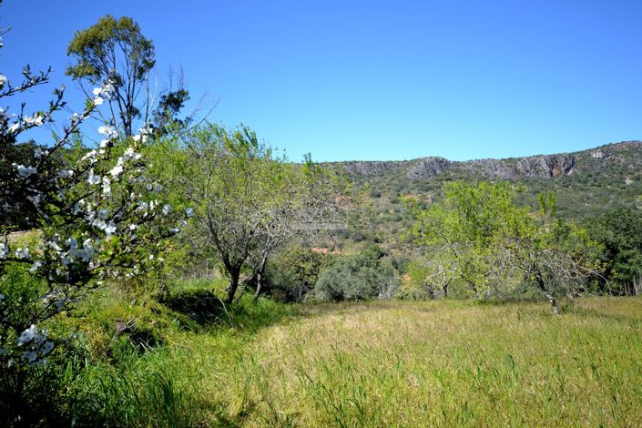 Image No.7-Plot for sale